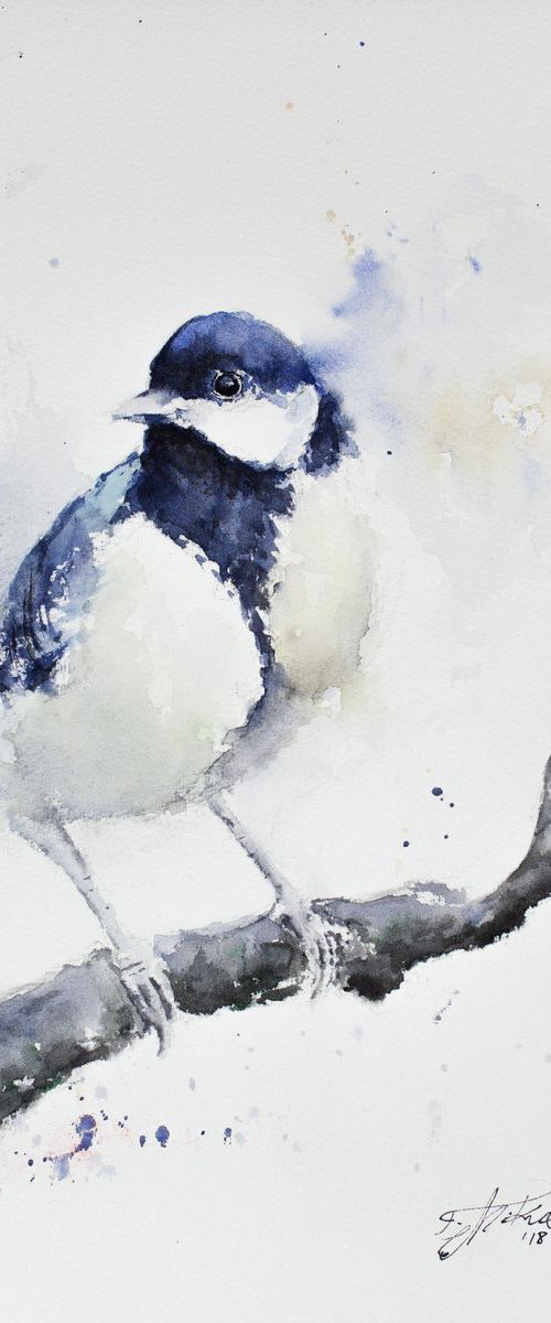 Great Tit on Branch by Tomasz Mikutel