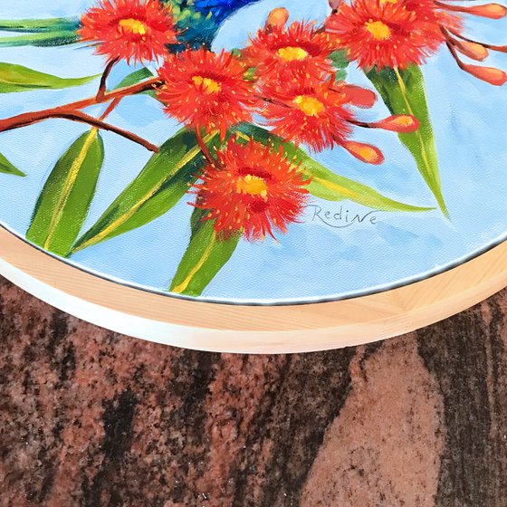 Rainbow lorikeet on a blossoming gum tree – framed original painting