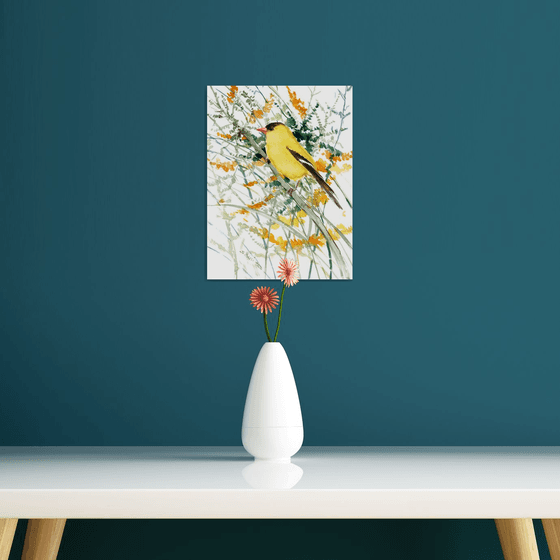 American Goldfinch  and field plants