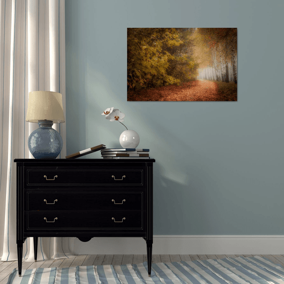 Autumn Calm III — Silent Path