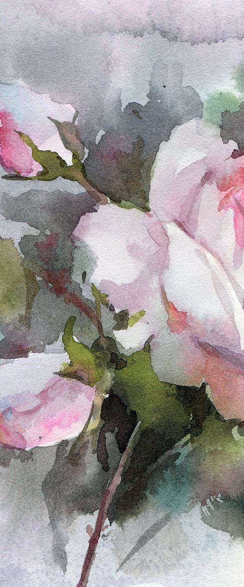 Light ros on a gray background by Yulia Evsyukova