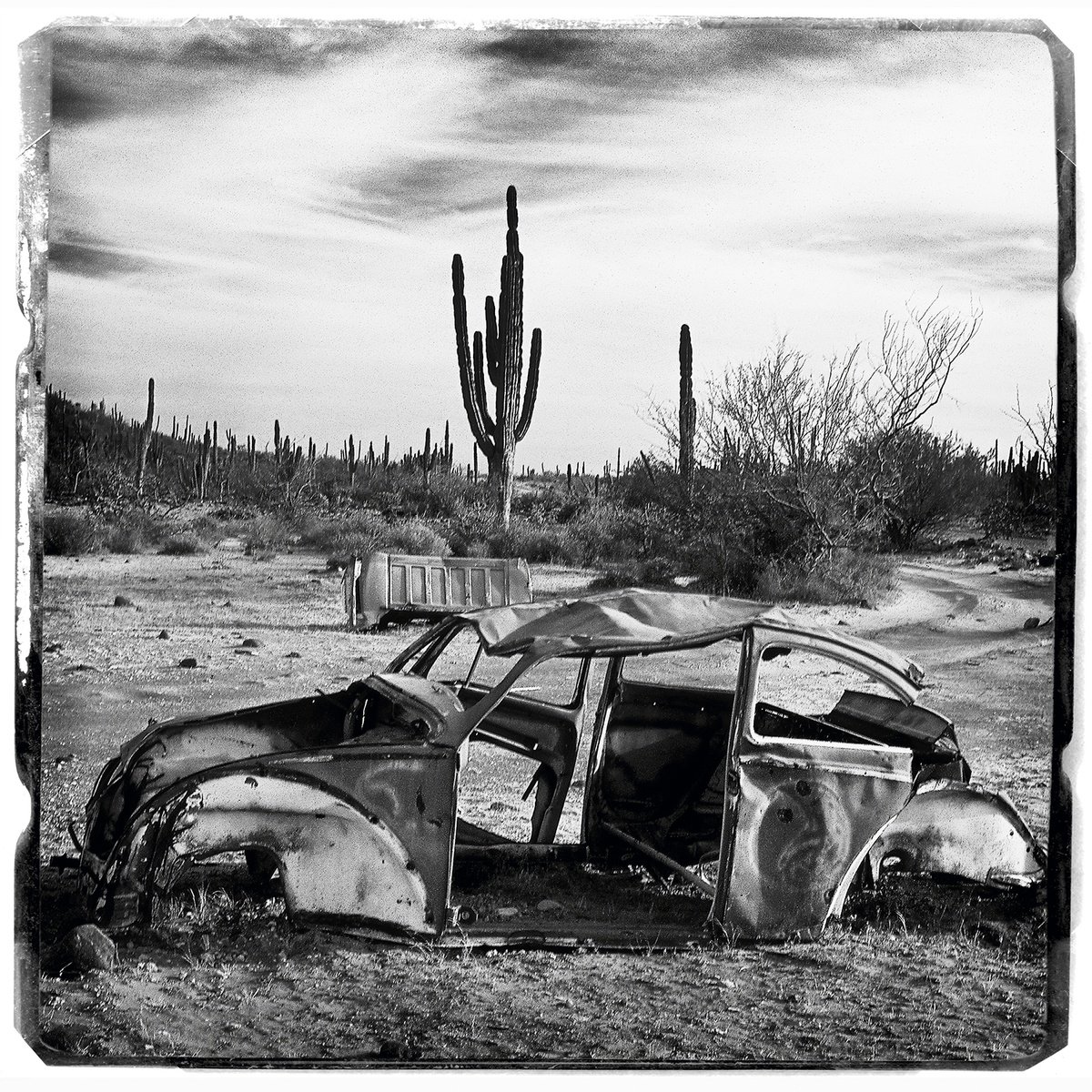 Photorealistic Landscape Photograph By Heike Bohnstengel, 16 X 16, Baja California, Drive, Original Artwork