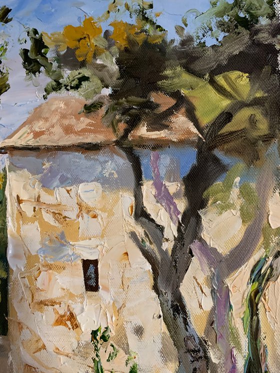 Mediterranean Pathway.