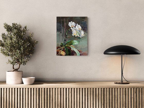 Blooming Orchid