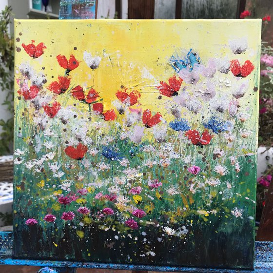 Show Me A Garden