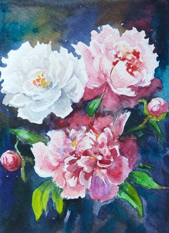 Peonies flowers