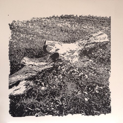 Study of a cut down tree (January) by Fausto Bini