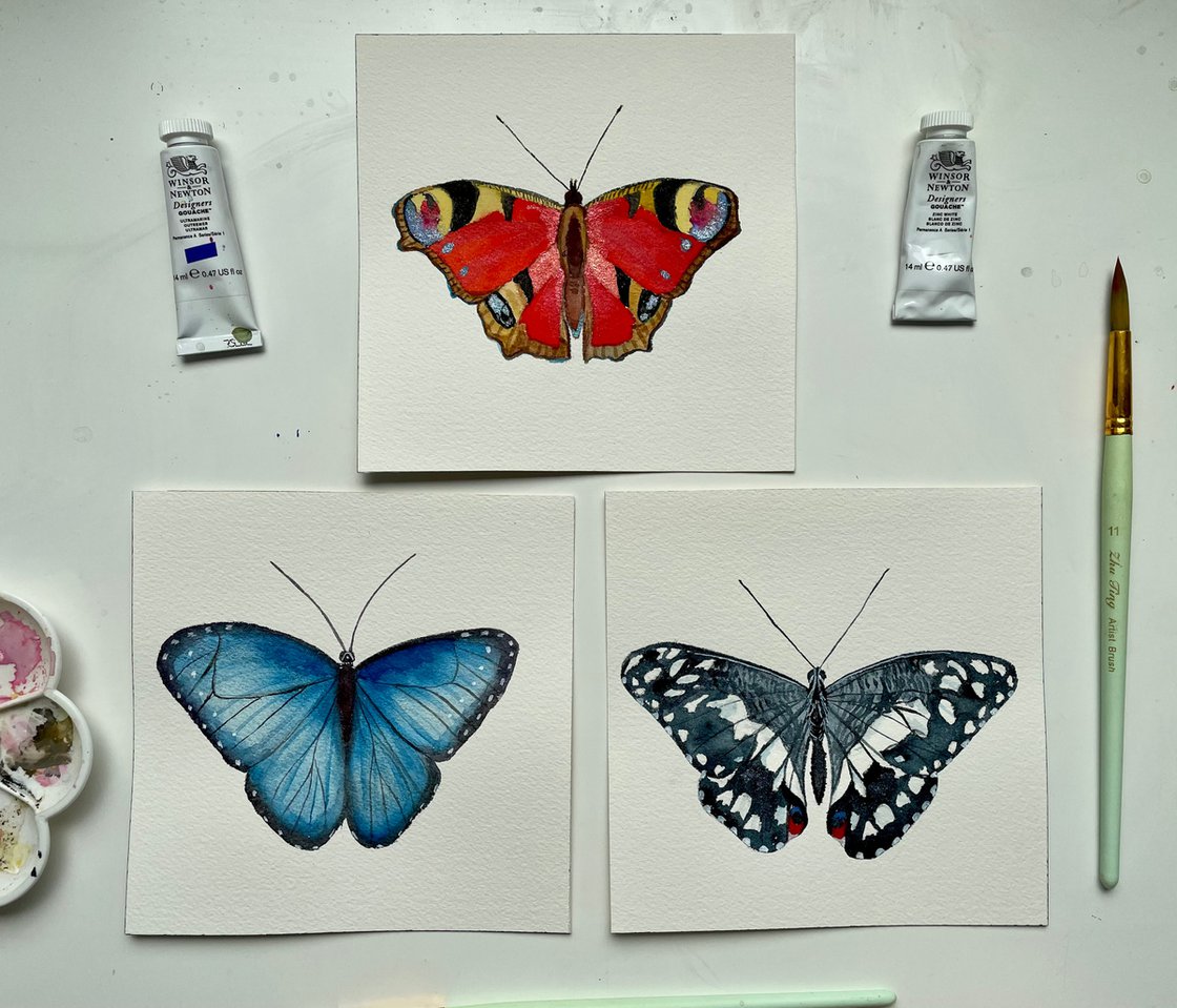 Set of 3 Paintings, Butterfly Watercolor Original Art, 3 Piece Wall Art