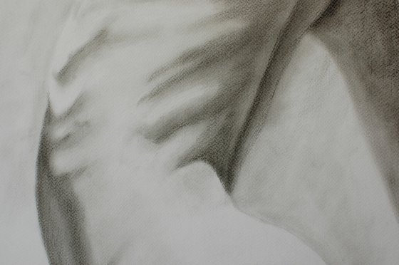 Nude study. Charcoal.