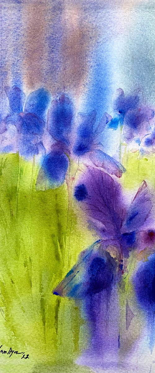 Irises by Leyla Kamliya