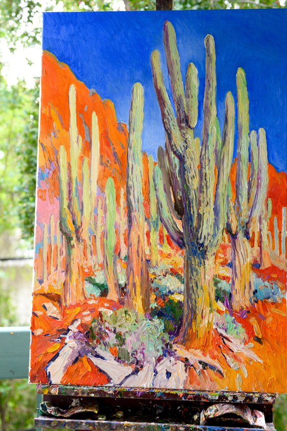 Desert In Arizona, Saguaro Cactuses