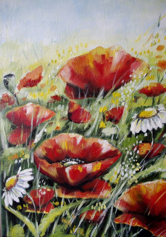 Summer Poppies