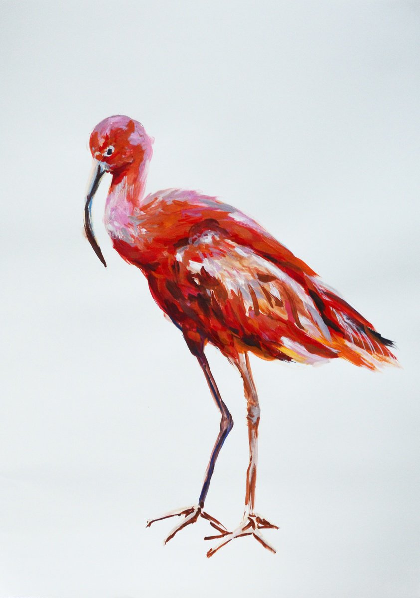 Impressionistic Animal Watercolour By Anna Brazhnikova, 23 X 33, Red Ibis - Bird Painting, Original Artwork