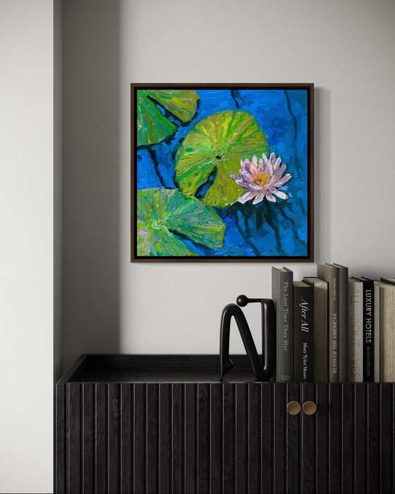 Water lily