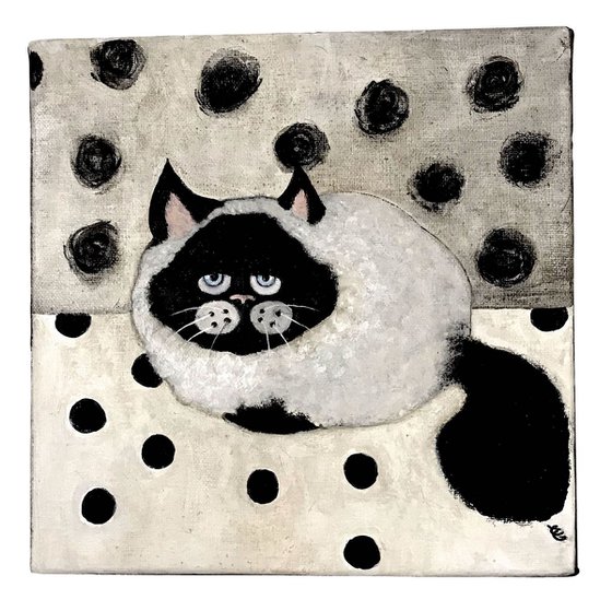 Siamese cat with polka dots