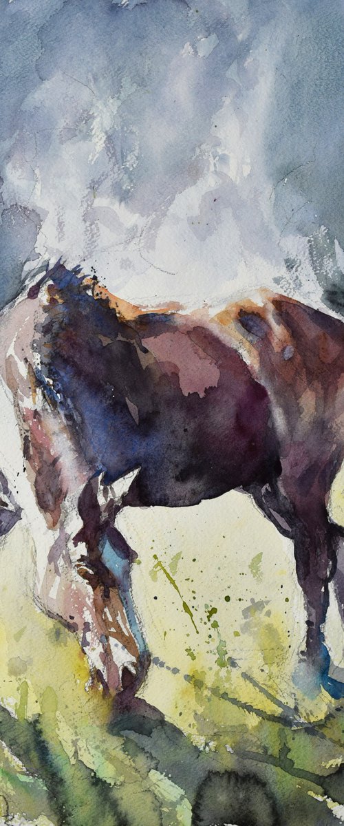 Horse steam 2 by Goran Žigolić Watercolors