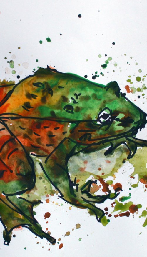 Frog 01 /  ORIGINAL PAINTING by Salana Art Gallery