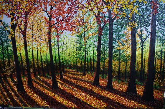 Vibrant Autumn