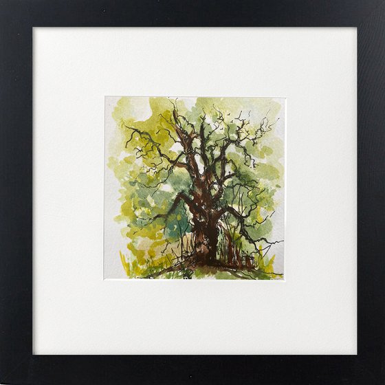 Oak tree watercolour