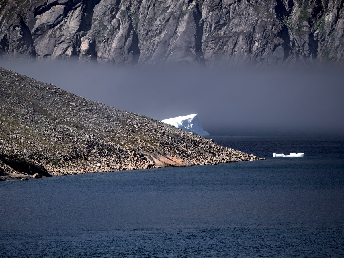 FOG COMING by Fabio Accorri?