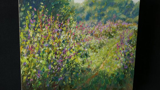 The Sunny Meadow
