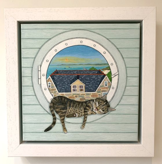 The Porthole cat