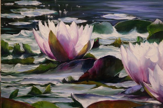 "Water lilies"