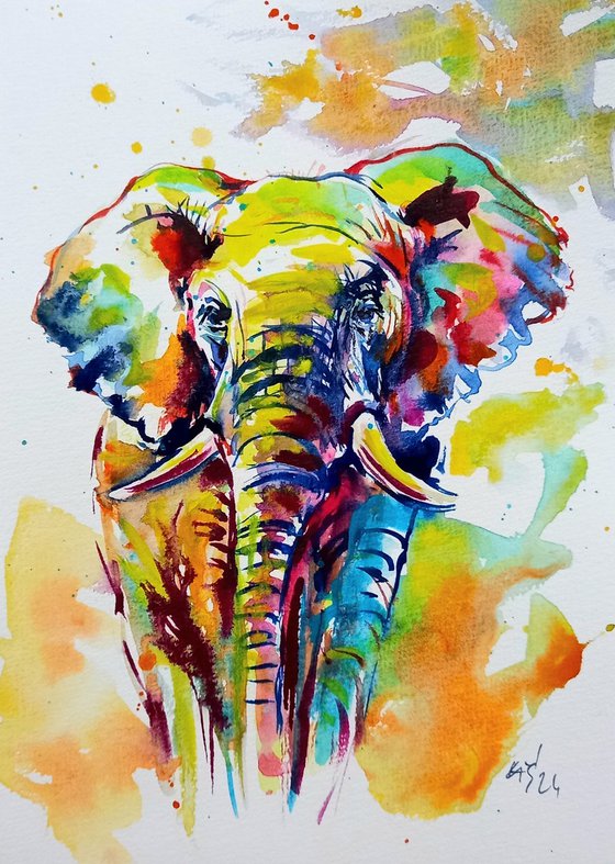 Colorful elephant V