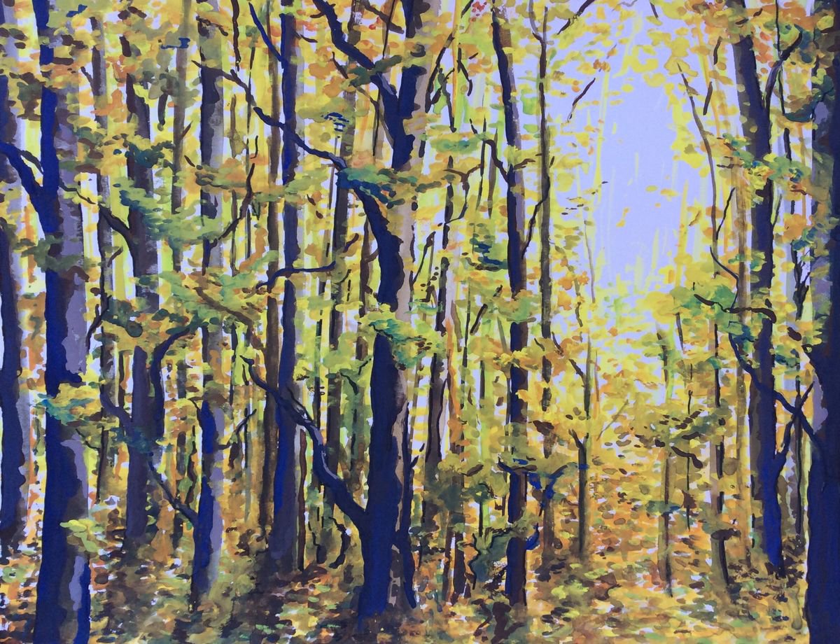 Autumn Woods Revisited by Lucy Smerdon