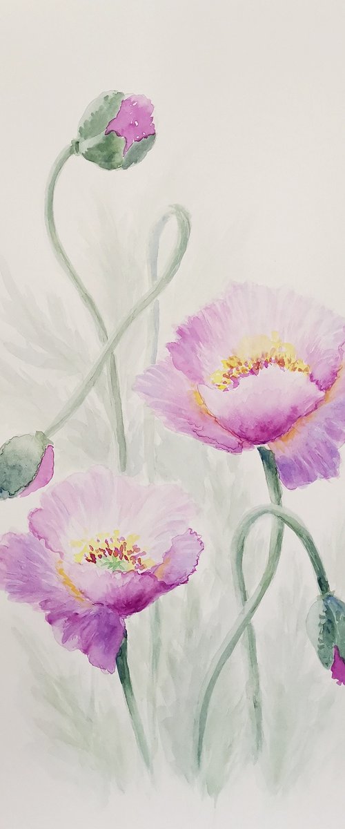 Pink poppies. Framed. Summer poppies watercolor painting by Elena Mosurak