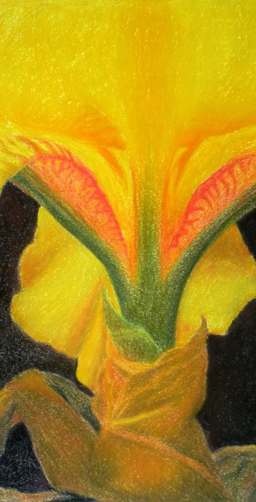 PORTRAIT OF AN IRIS by Nives Palmić