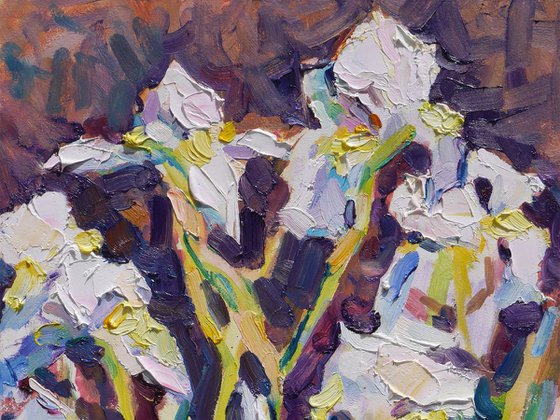 White irises (plein air 2019/05/15)