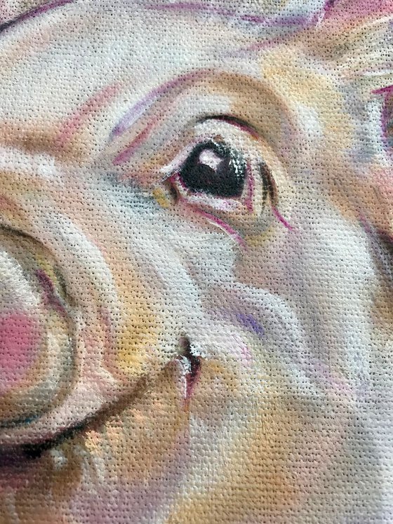 Posy Piglet Original Oil Painting Oil on stretched linen canvas