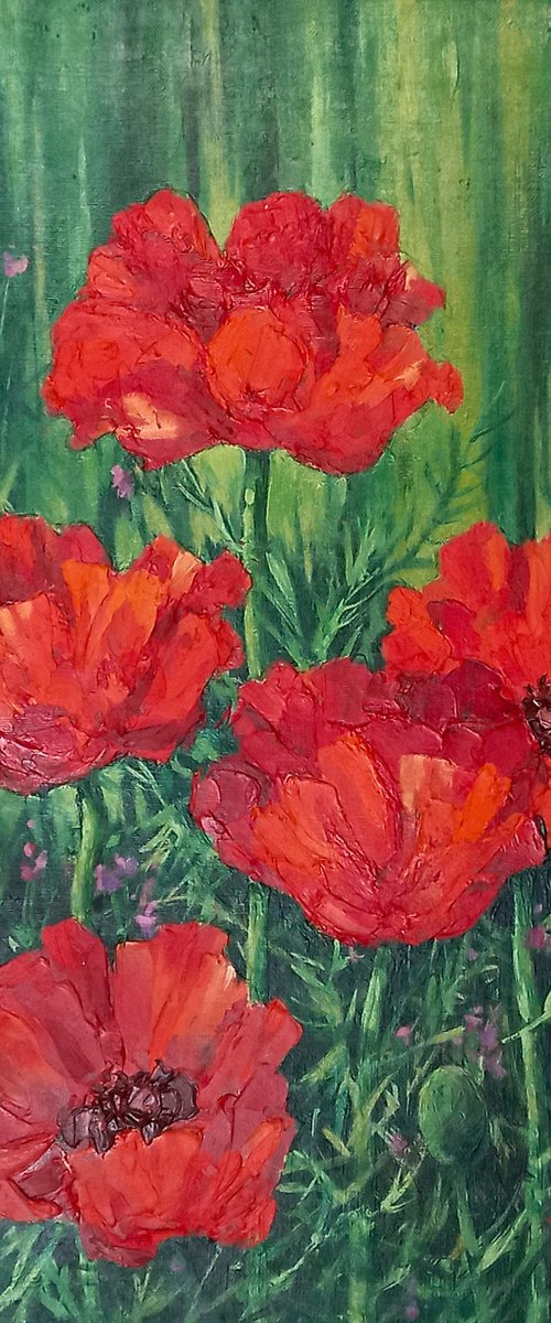 Poppies by Valery Popov