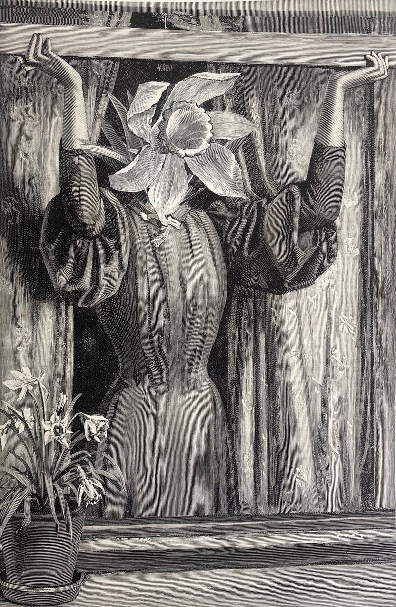 Surrealistic Portrait Collage By Tudor Evans, 6 X 9", In The Window, Original Artwork