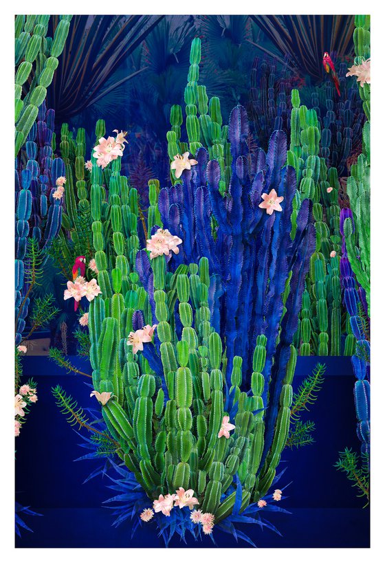 Cactus Garden - Framed