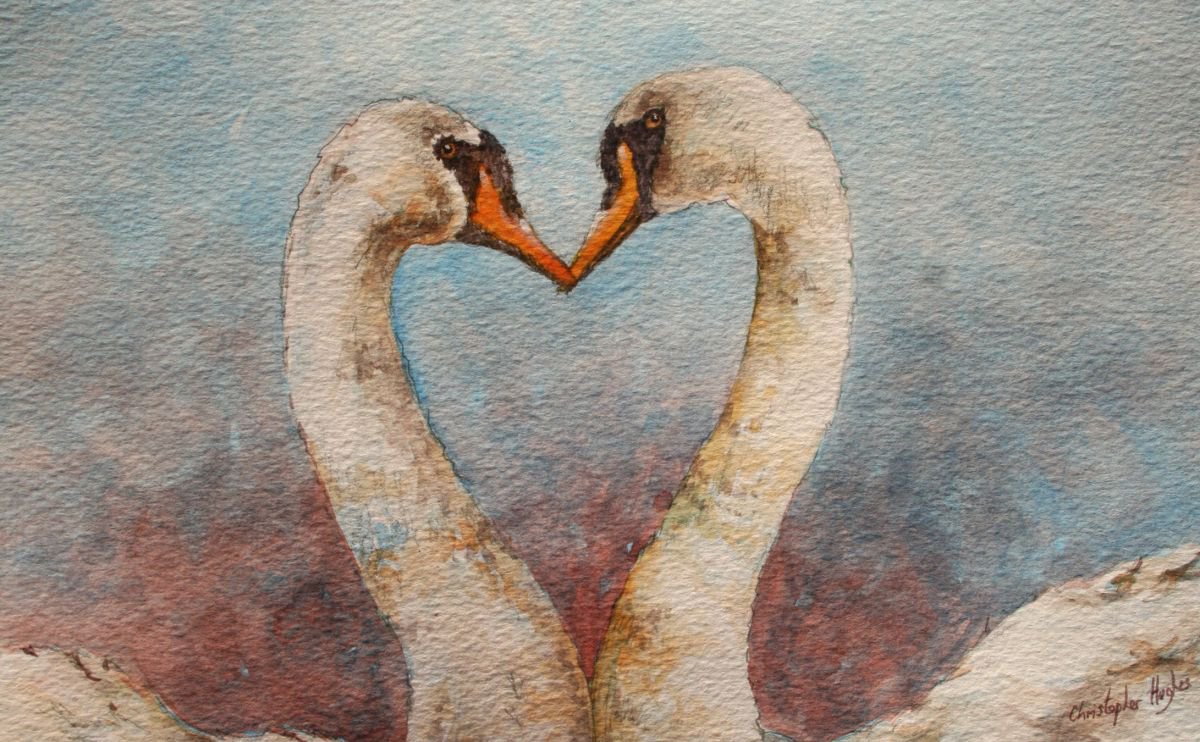 Swan Heart by Christopher Hughes