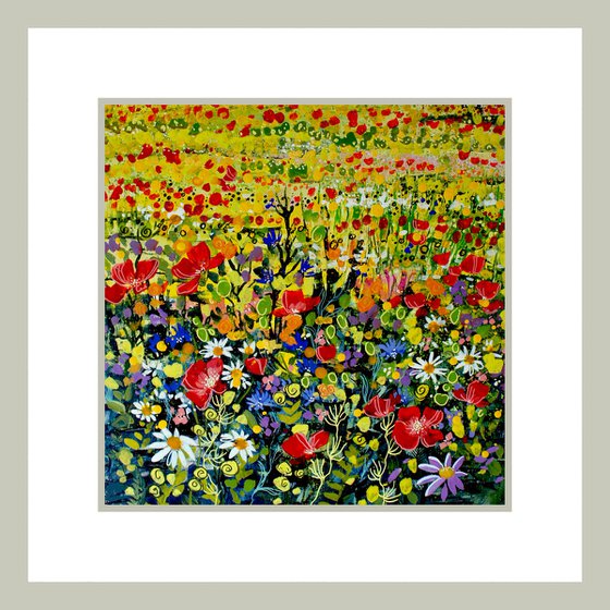 Wildflower Meadow