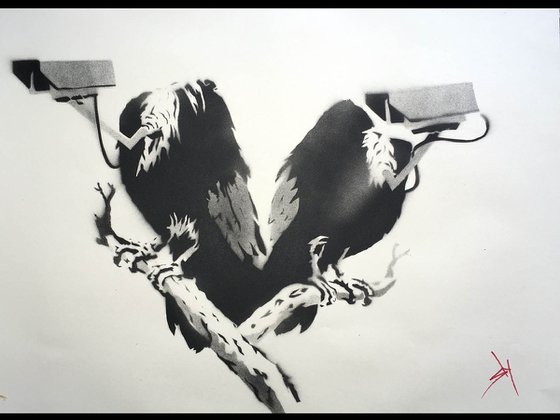 Vulture surveillance (pp).