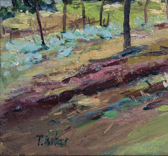 Spring landscape