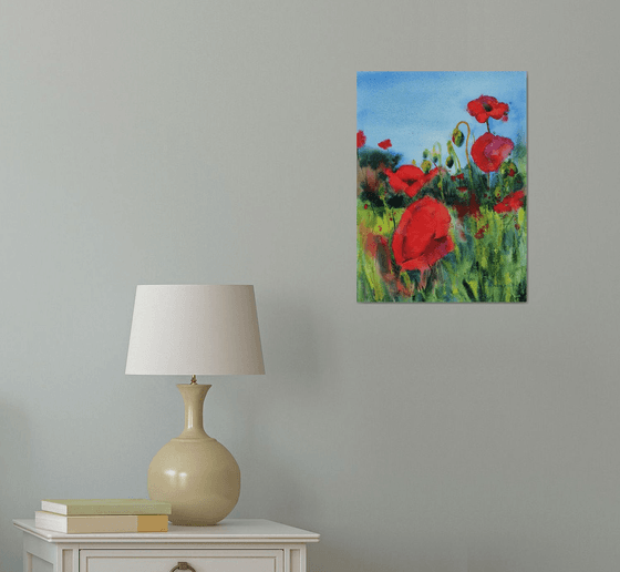 Poppies in a meadow in Bavaria