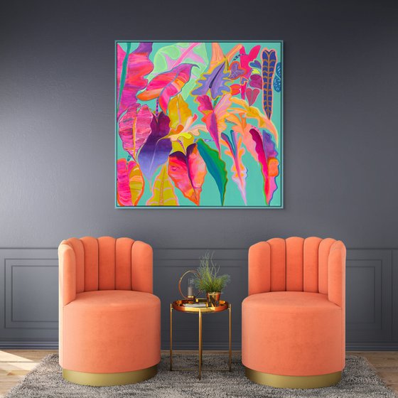'Rainbow Alocasia'