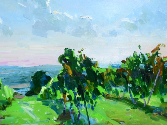 "  Vineyards "