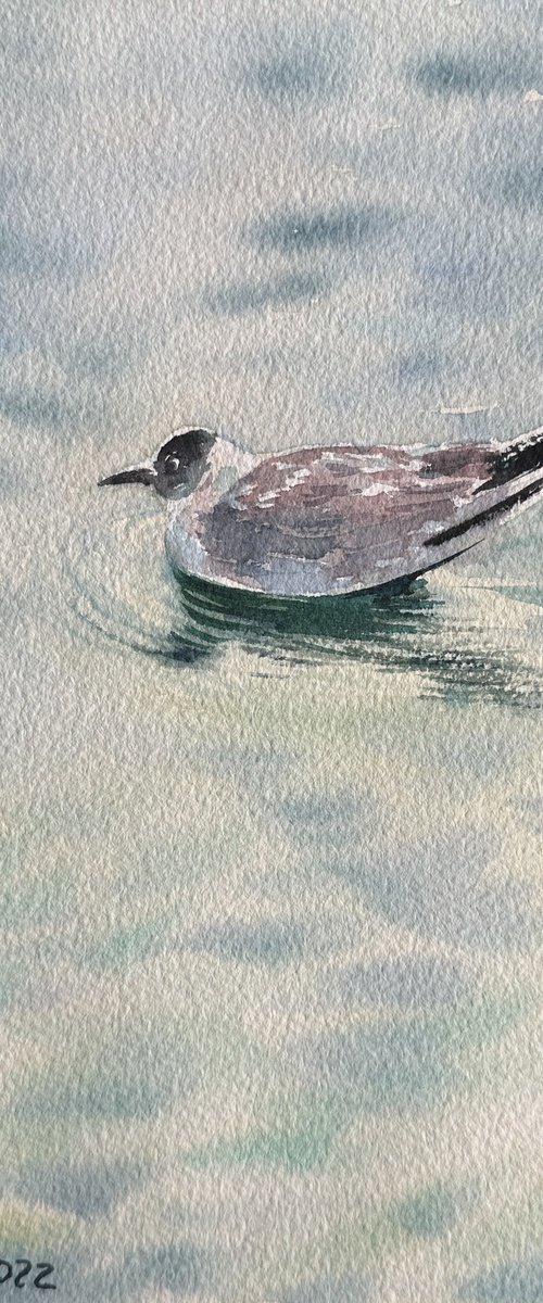 Seagull and the Sound of Water by Oleksandra Padushyna