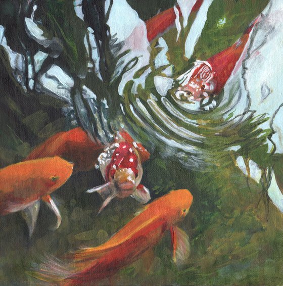 Pavilion Fish