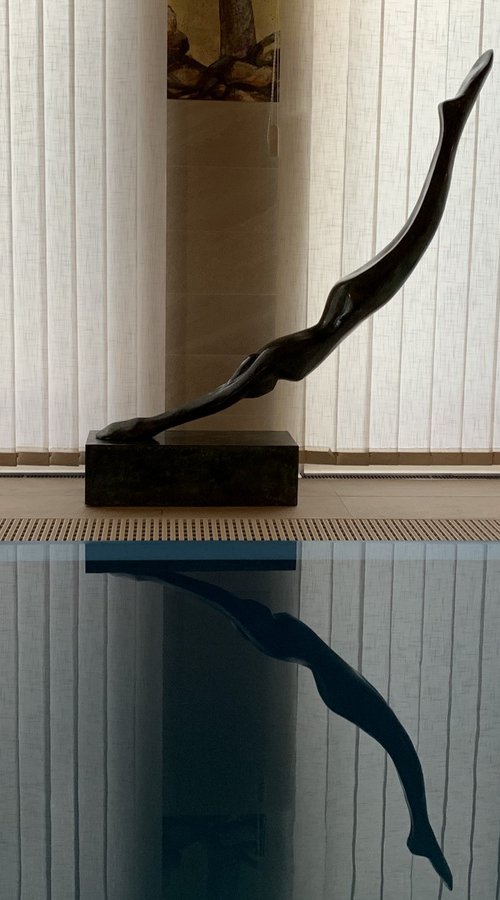 Diver (big) by Toth Kristof