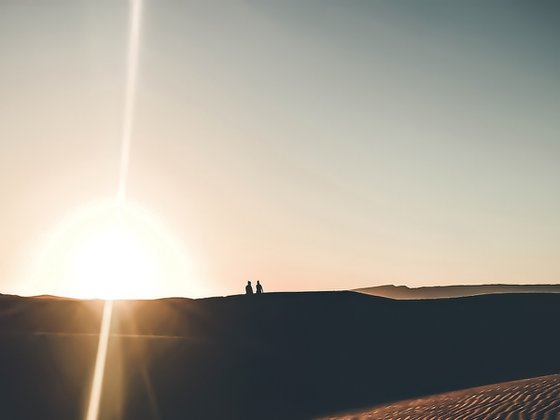 IN THE SILENCE OF THE DUNES