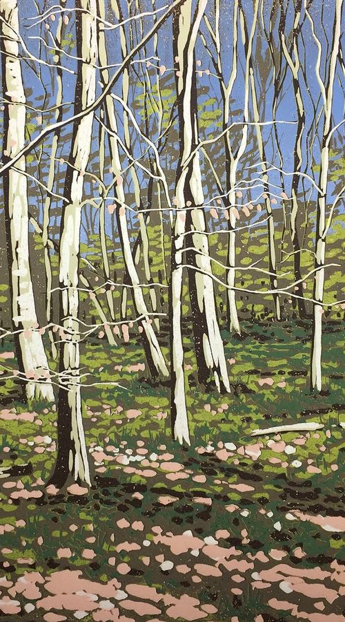 Beeches in Early Spring by Alexandra Buckle