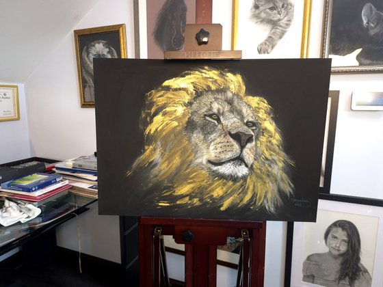 Crowned by Light