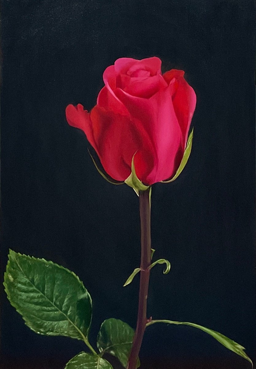 Photorealistic Botanical Oil Painting By Alla Kallass, 24 X 36, Essence Of Love. Rose, Original Artwork
